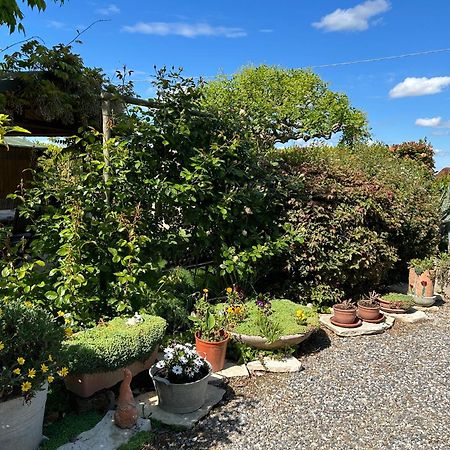Massa Lombarda La Casa Di Biba B&B 외부 사진