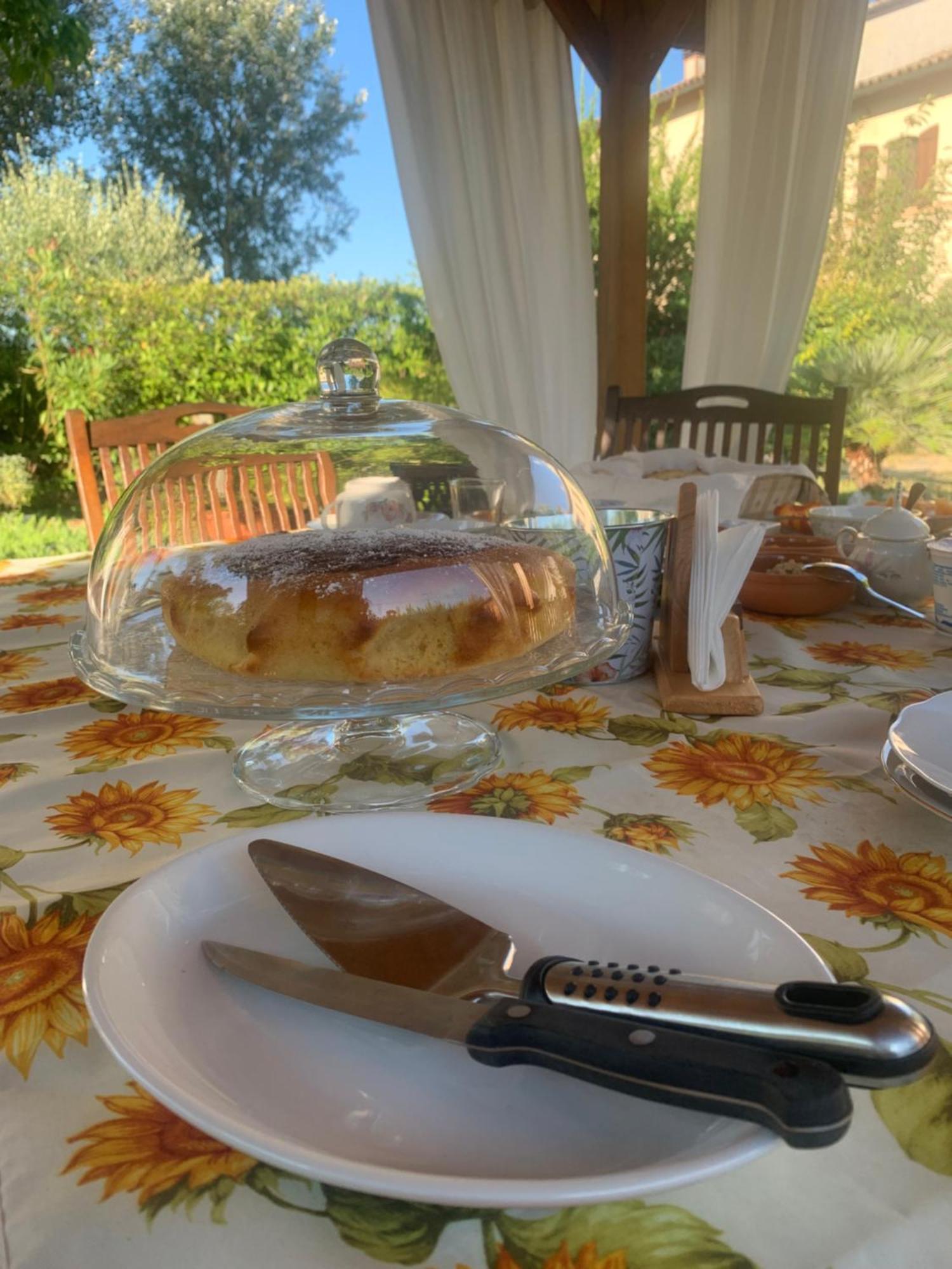 Massa Lombarda La Casa Di Biba B&B 외부 사진