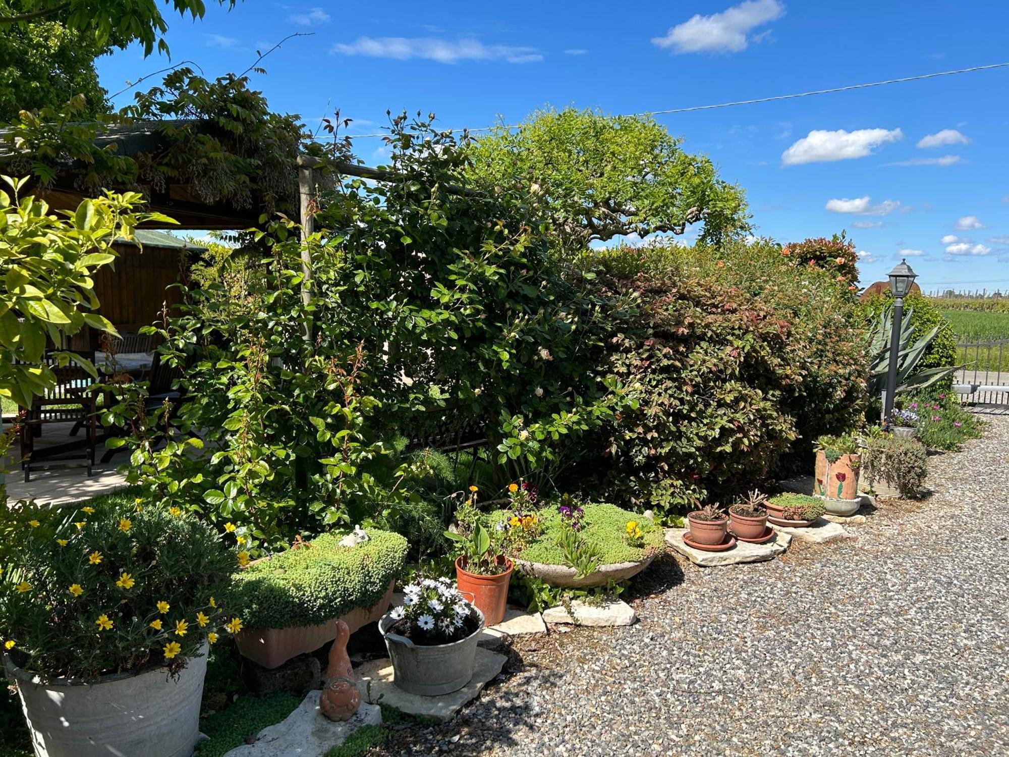 Massa Lombarda La Casa Di Biba B&B 외부 사진